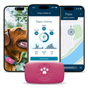 Petivity Smart GPS Dog Tracker with Activity Monitoring
