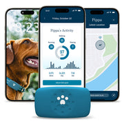 Petivity Smart GPS Dog Tracker with Activity Monitoring
