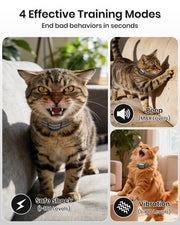 Mini Cat Training Collar with 3300FT Remote & 4 Modes