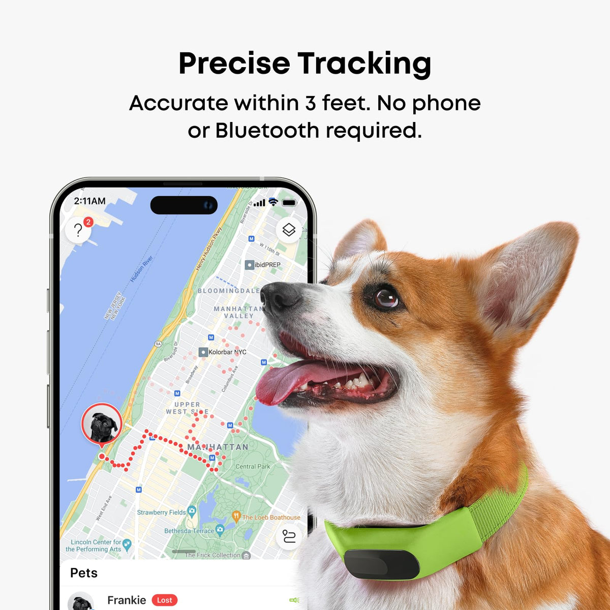 Averia GPS Dog Collar with Activity & Location Tracking