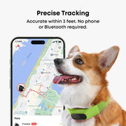 Averia GPS Dog Collar with Activity & Location Tracking