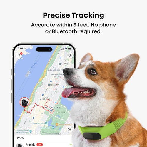 Averia GPS Dog Collar with Activity & Location Tracking