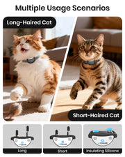 Mini Cat Training Collar with 3300FT Remote & 4 Modes