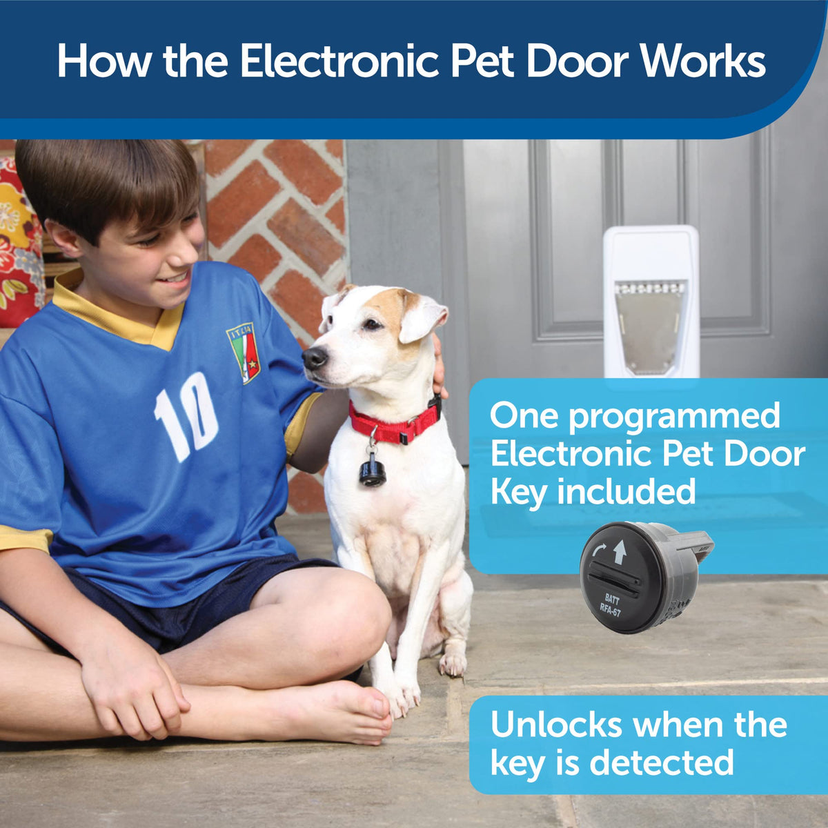 PetSafe Large Electronic Pet Door with Smart Collar Access