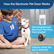 PetSafe Large Electronic Pet Door with Smart Collar Access
