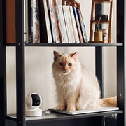 Kasa 1080P Pan/Tilt Pet Camera with Night Vision