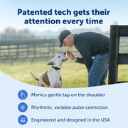 PetSafe Animal Collar for Dogs and Household Pets