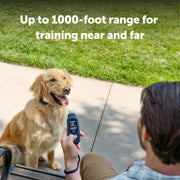 PetSafe Animal Collar for Dogs and Household Pets