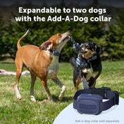 PetSafe Animal Collar for Dogs and Household Pets