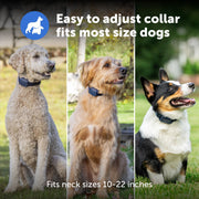 PetSafe Animal Collar for Dogs and Household Pets